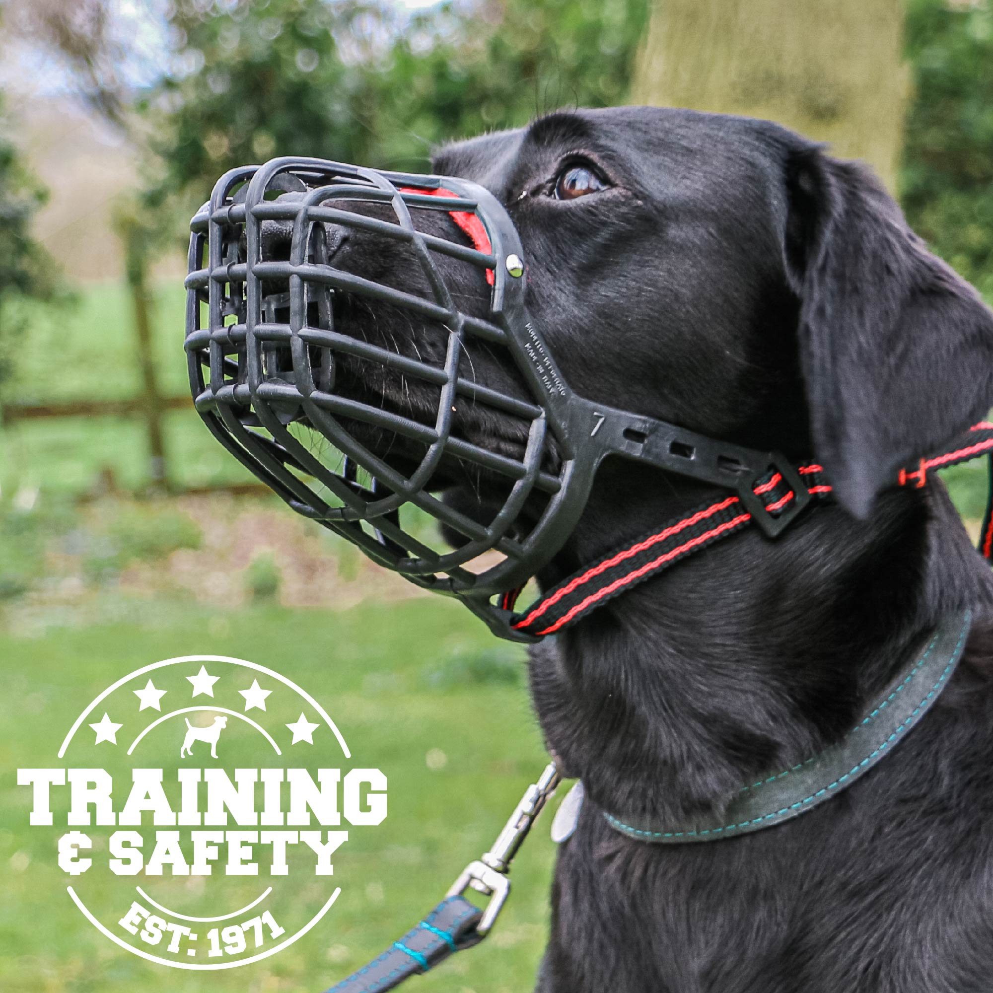 Dog on sale muzzle uk