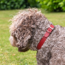 Classic Leather Collar Red 20-26cm Size 1