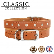 Leather Stud Collar Tan 20-26cm Size 1