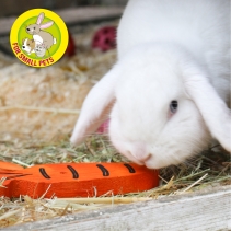 J4P Carrot Cruncher Chew