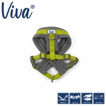 Viva Padded Harness Lime S 36-42cm