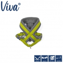 Viva Padded Harness Lime S 36-42cm