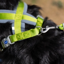 Viva Padded Harness Lime S 36-42cm