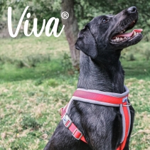 Viva Padded Harness Red L 52-71cm