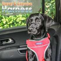 Travel Dog Harness Red S 37-58cm