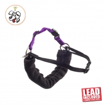 PDL Harness and Lead XL 89-118cm