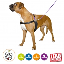 PDL Harness and Lead XL 89-118cm