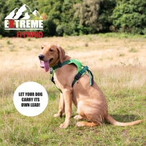 Extreme Hybrid Harness Field Green M