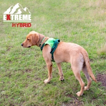 Extreme Hybrid Harness Field Green M