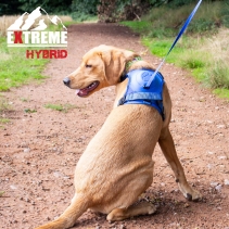 Extreme Hybrid Harness Aqua Blue M