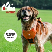 Extreme Hybrid Harness Hazard Orange M