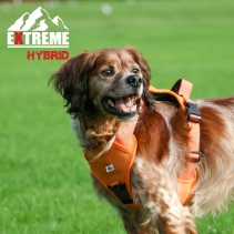 Extreme Hybrid Harness Hazard Orange M