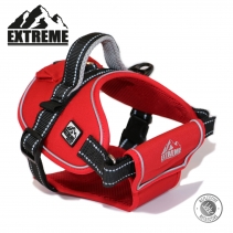 Extreme Harness Red M 68-86cm