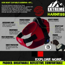 Extreme Harness Red M 68-86cm