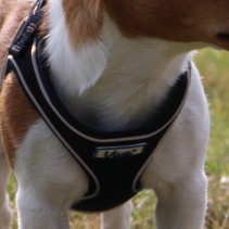 Viva Comfort Dog Harness Black XS 28-40cm