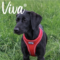 Viva Comfort Dog Harness Red L 53-74cm