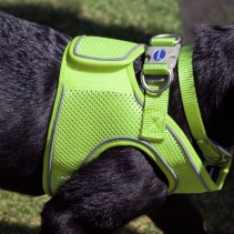 Viva Step-in Harness XL Lime 60-67cm