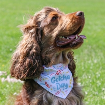 Gotcha Bandana Large