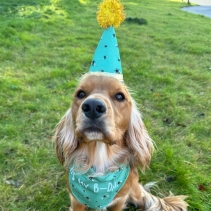 B-Day Hat & Bandana Set