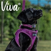 Viva Adjustable Collar Black 20-30cm Size 1-2