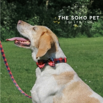 Soho Tartan Collar S