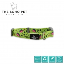 Soho Dino Collar S