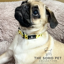 Soho Sunflower Collar S