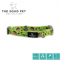 Soho Dino Collar M