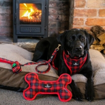 Tartan/Star Patterned Reversible Bone Toy