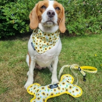 Sunflower/Yellow Patterned Reversible Bone Toy