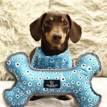 Daisy/Polka Patterned Reversible Bone Toy