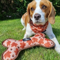 Maple Leaf/Woodland Patterned Reversible Bone Toy