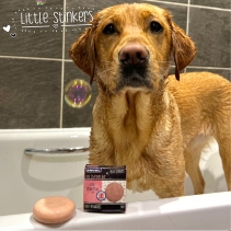 Little Stinkers Pink Grapefruit Shampoo Bar