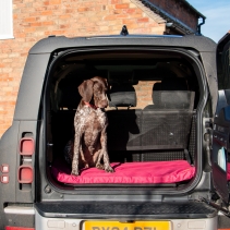 Nest of 5 Waterproof Pad Beds Burgundy