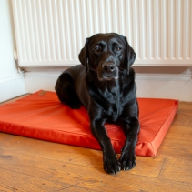 Nest of 5 Waterproof Pad Beds Orange