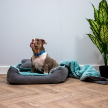 Made From Dog Bed Set 60x50xm Blue Teal