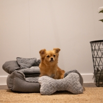 Made From Dog Bed Set 60x50xm Grey