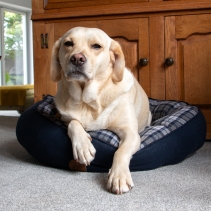 Blue and Grey Tartan Donut Bed 70cm