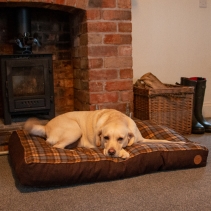 Brown And Blue Tartan Mattress 75 x 60cm