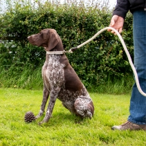 Heritage Cotton Rope Lead Natural 150x1.5cm