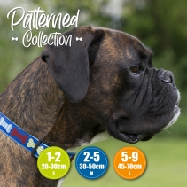 Fashion Collar Blue Reflective Bones Adj 30-50cm