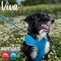 Viva Rope Lead Reflective Black 1.07mx10mm