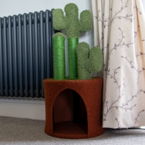 Desert Cactus Cat Tree