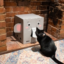 Elephant Catnip Scratcher Box