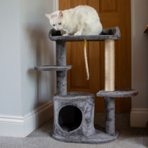 Grey Cat Tree