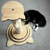 Cat Shape Enrichment Scratcher