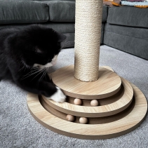 Cat Shape Enrichment Scratcher