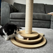 Cat Shape Enrichment Scratcher