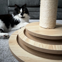 Cat Shape Enrichment Scratcher