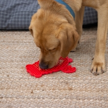 Orva Lobster Lick Mat